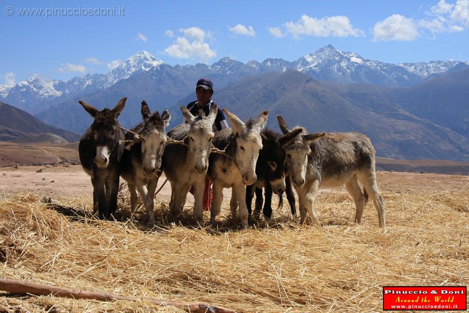 PERU - Sito agricolo di Moray - 02.jpg